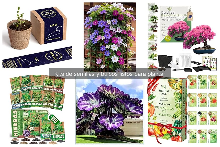 Cómo cuidar bulbos plantados a partir de kits de semillas