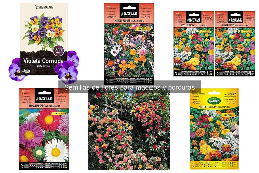 Cómo cuidar flores de semillas: riego y mantenimiento