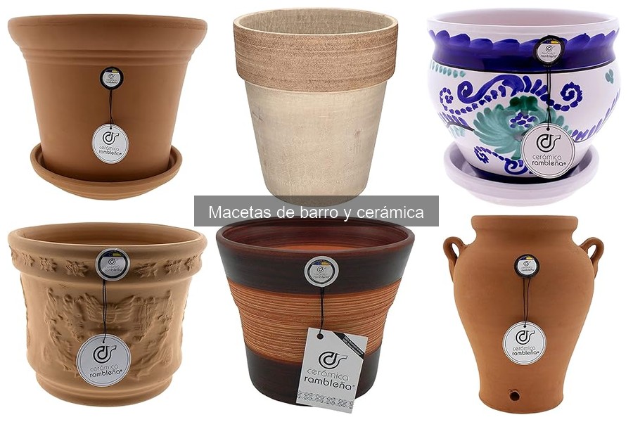 Cómo cuidar macetas de barro y cerámica: tips esenciales