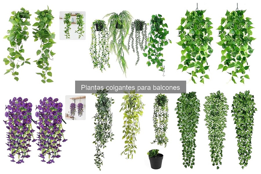 Cómo Cuidar Plantas Colgantes en Balcones: Tips Prácticos