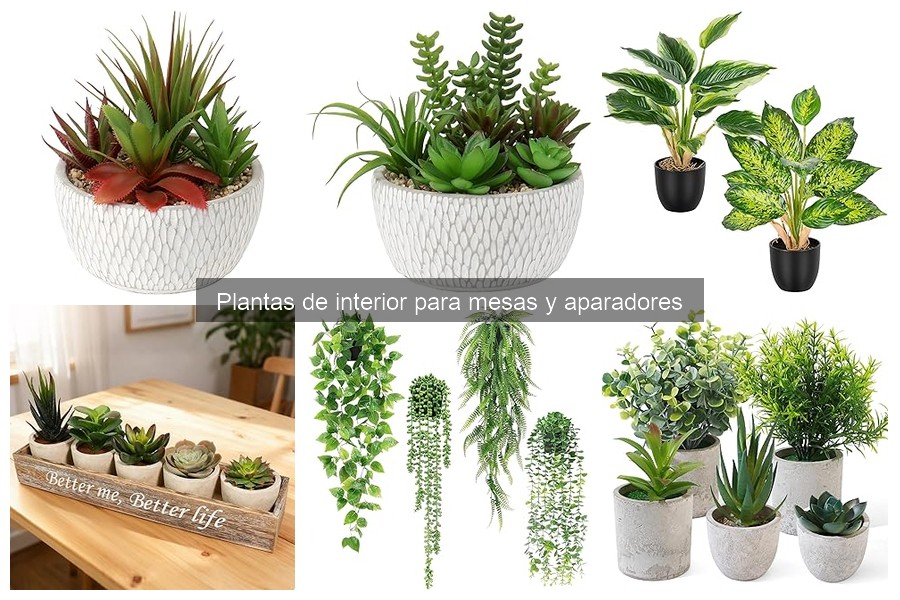 Cómo cuidar plantas de interior en invierno: tips prácticos