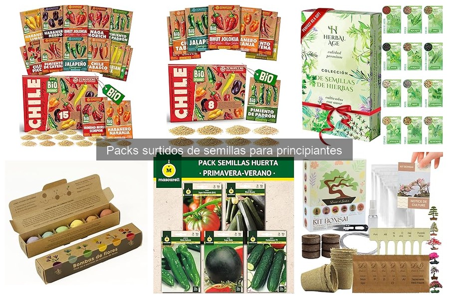 Cómo cultivar semillas para lograr el máximo crecimiento