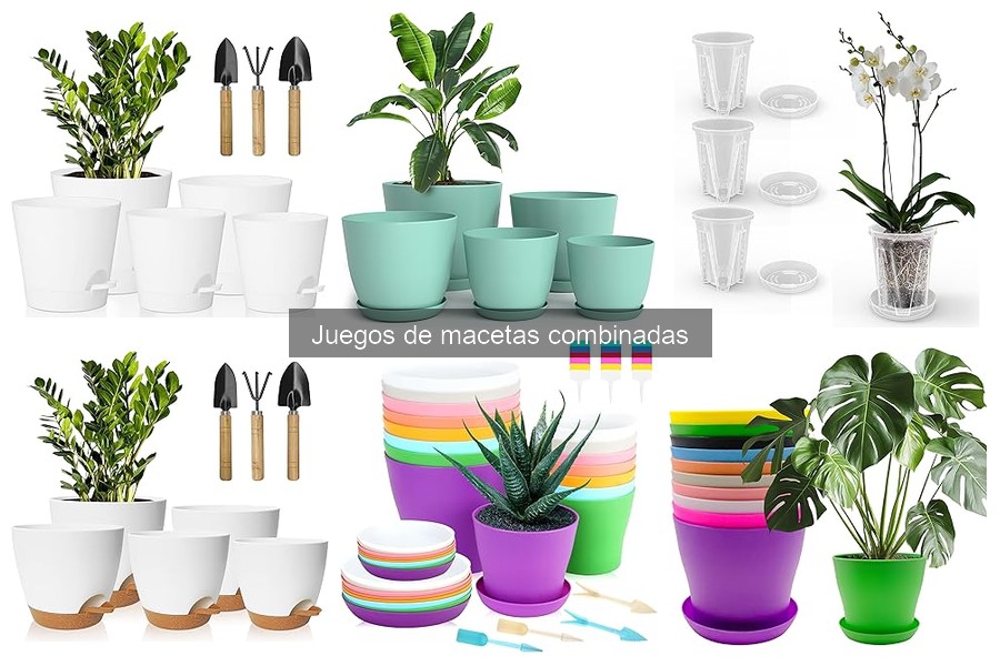 Cómo decorar espacios con juegos de macetas combinadas