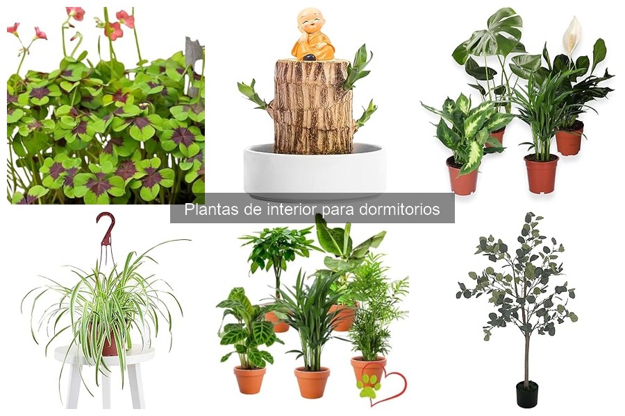 Cómo decorar tu dormitorio con plantas de interior