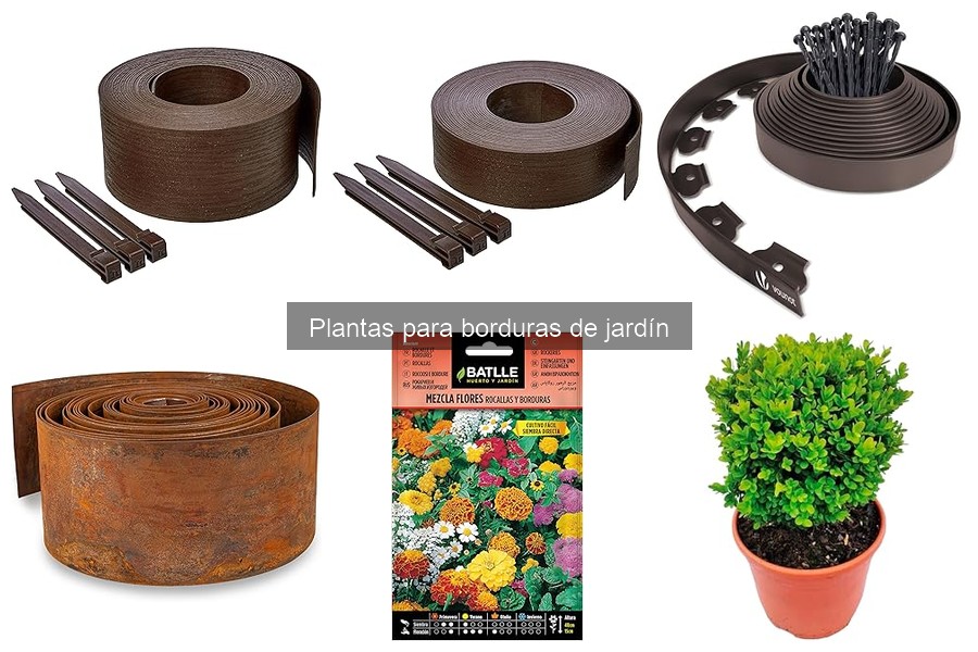 Cómo diseñar borduras estéticas con plantas