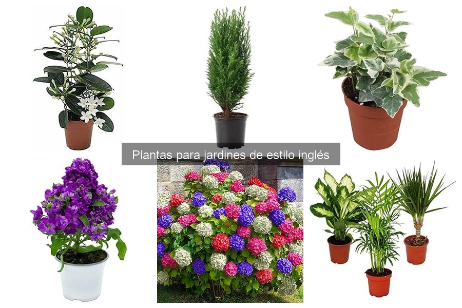 Cómo diseñar un jardín de estilo inglés de forma perfecta