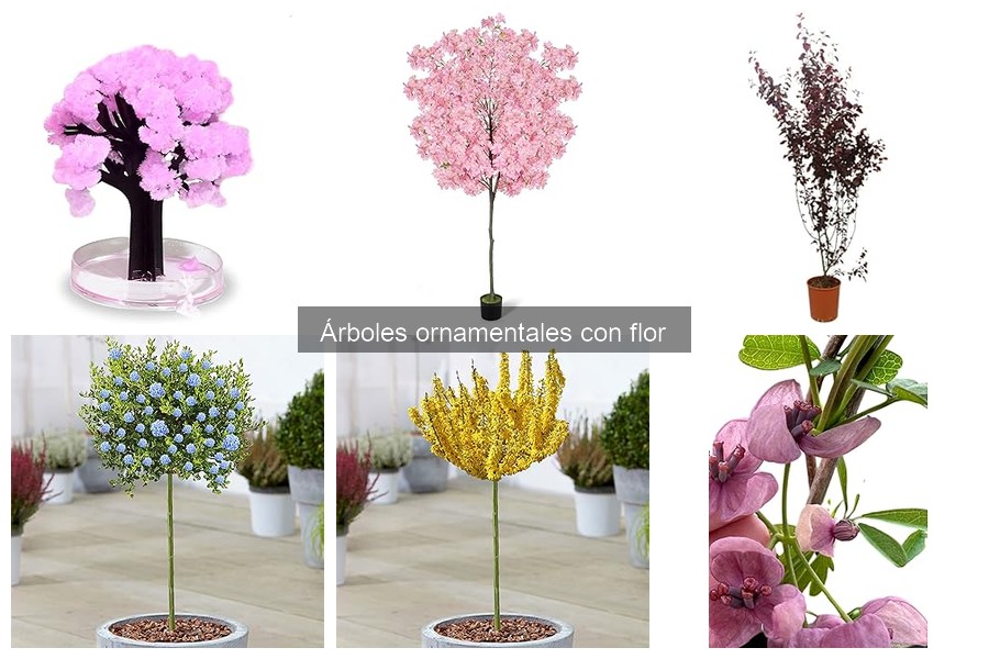 Cómo elegir el árbol ornamental con flor adecuado