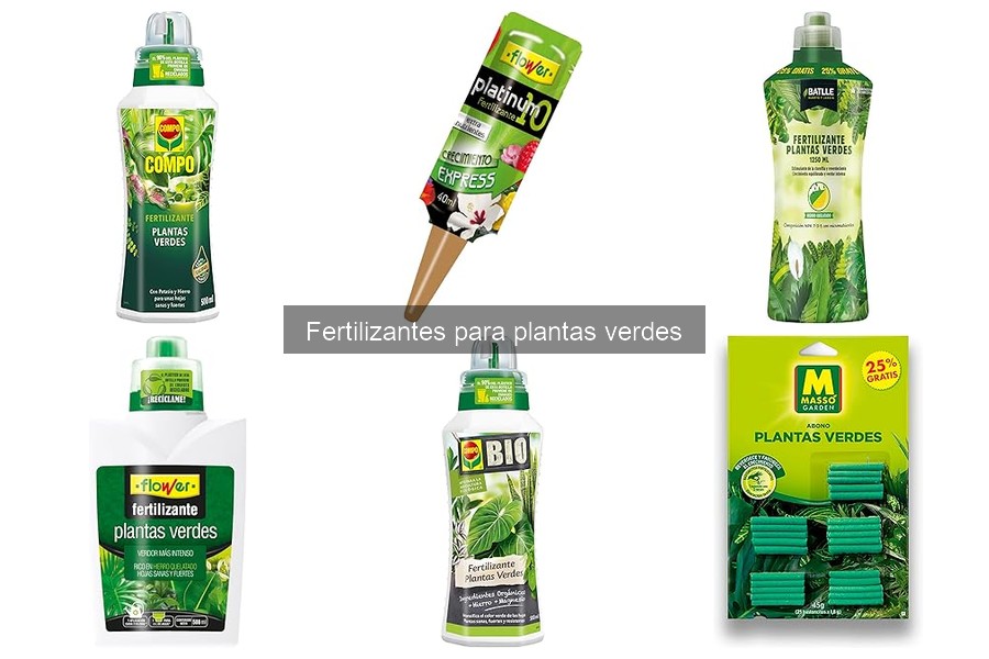 Cómo elegir el fertilizante ideal para plantas verdes