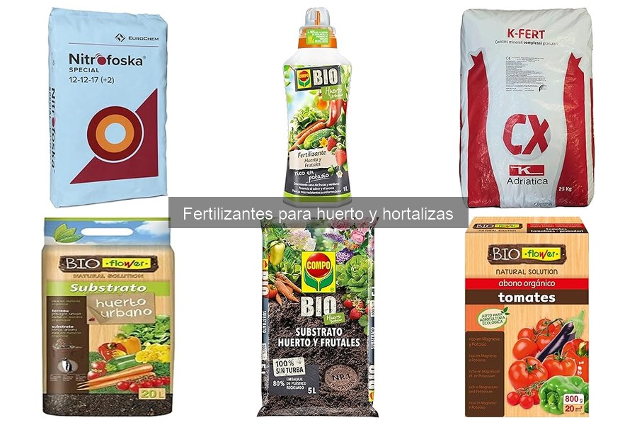 Cómo elegir el fertilizante ideal para tus hortalizas