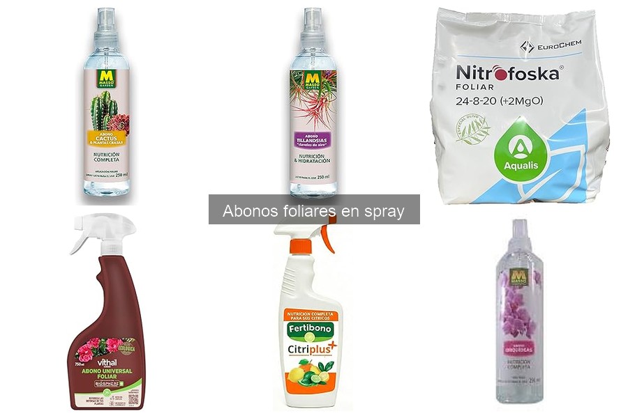 Cómo elegir el mejor abono foliar en spray para tus plantas