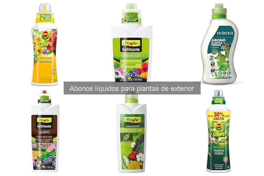 ¿Cómo elegir el mejor abono líquido para plantas de exterior?