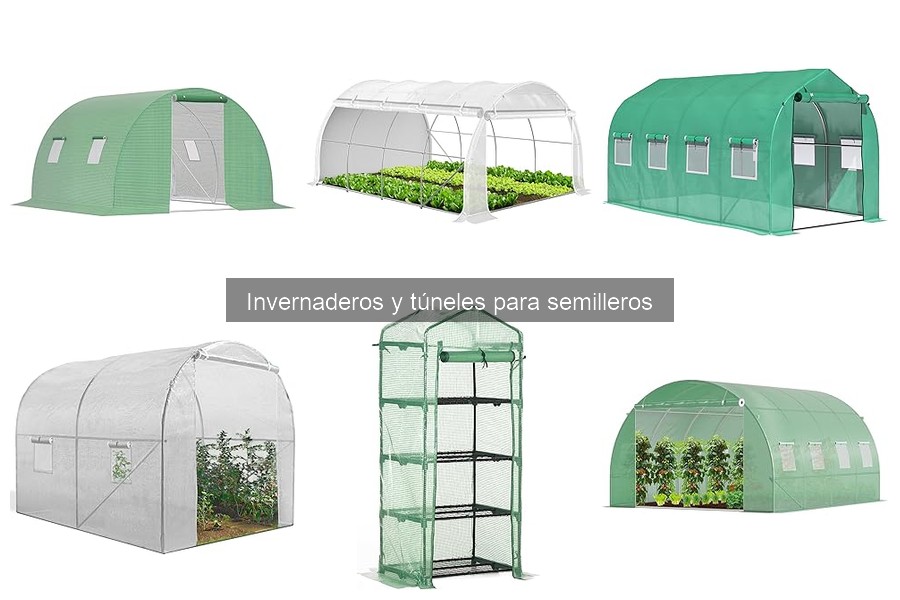 ¿Cómo elegir el mejor invernadero para tu jardín?