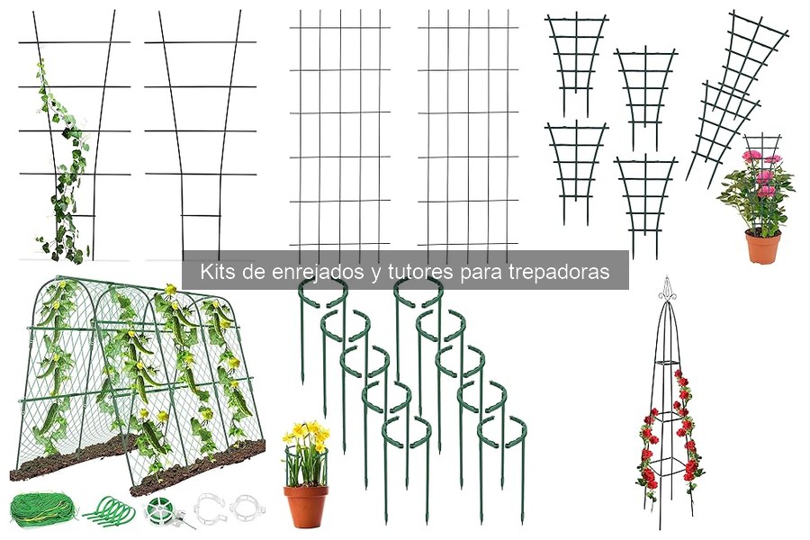 Cómo elegir el mejor kit de enrejados y tutores para tus plantas