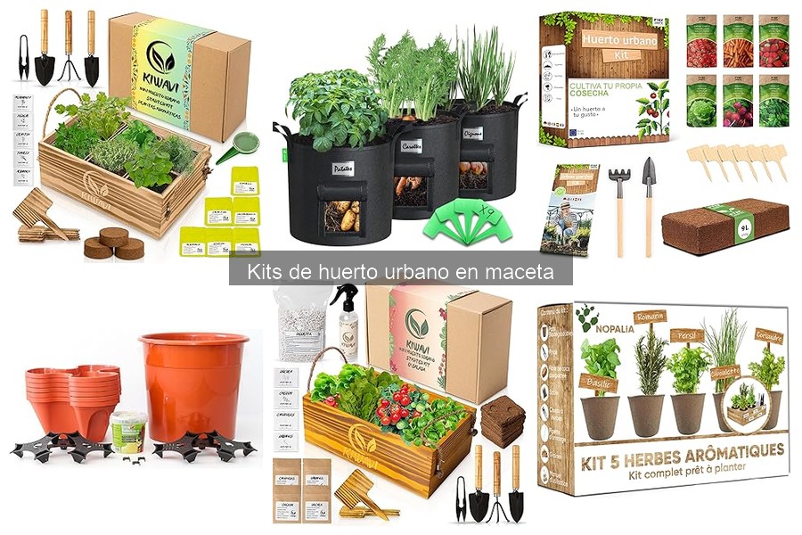 Cómo elegir el mejor kit de huerto urbano en maceta
