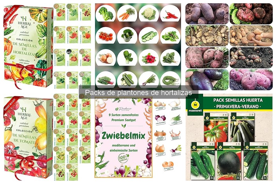 Cómo Elegir el Mejor Pack de Plantones de Hortalizas