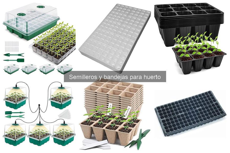 Cómo Elegir el Mejor Semillero para tu Huerto Guía 2023