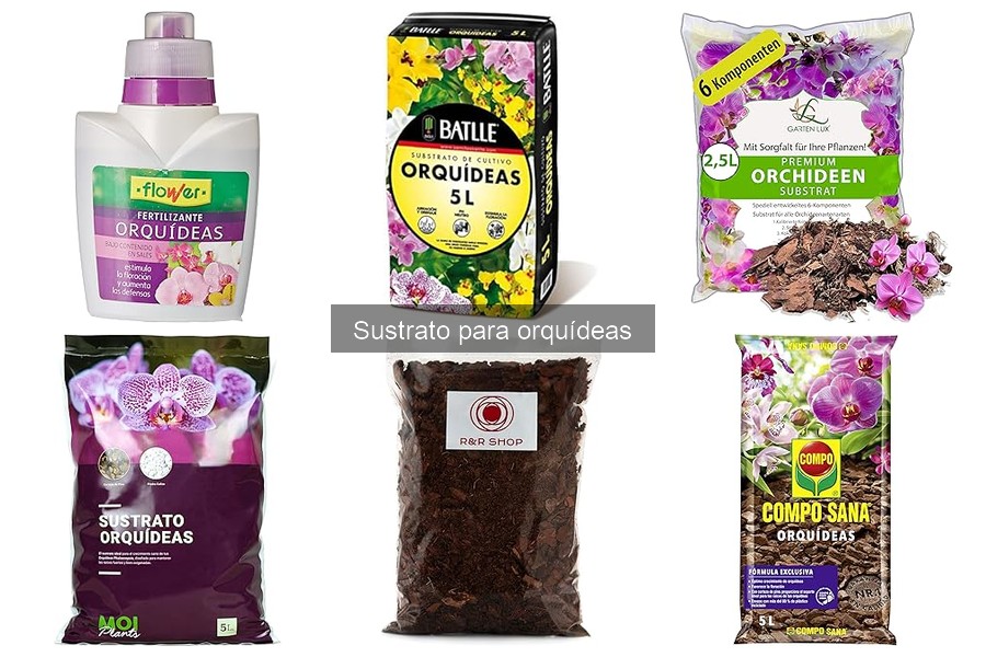 Cómo elegir el mejor sustrato para orquídeas: guía de compra