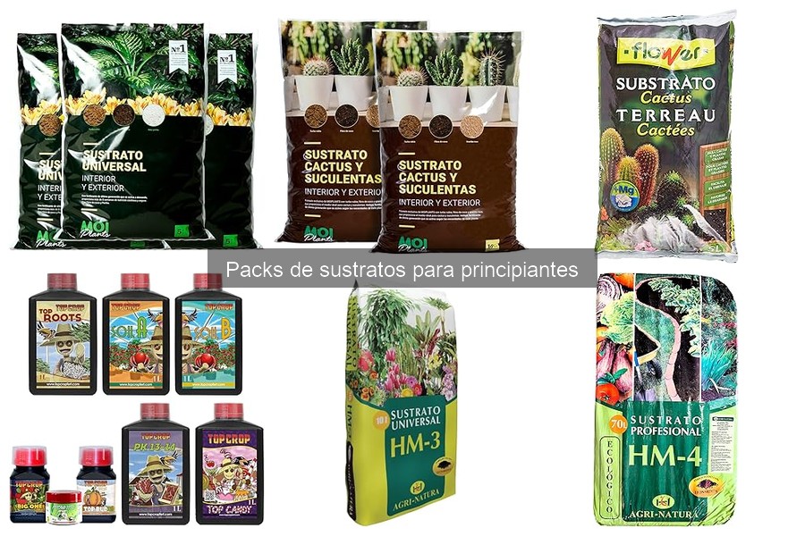 Cómo elegir el mejor sustrato para tus plantas: guía práctica