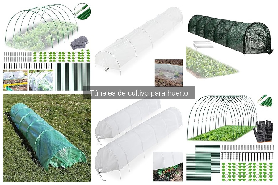 Cómo elegir el mejor túnel de cultivo para tu huerto