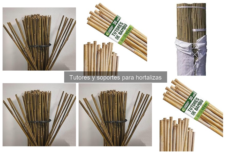 Cómo elegir el mejor tutor para hortalizas: guía de compra