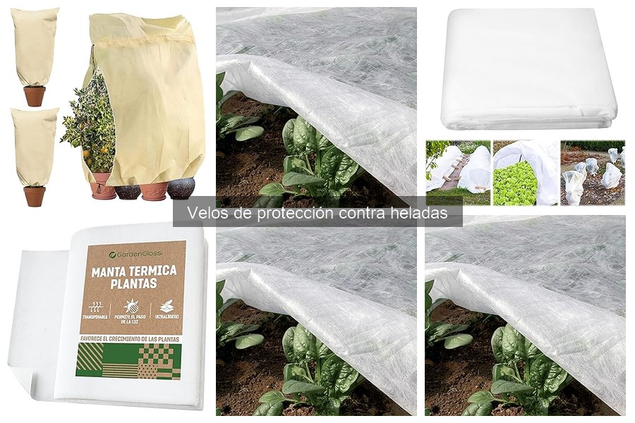 Cómo Elegir el Mejor Velo de Protección contra Heladas