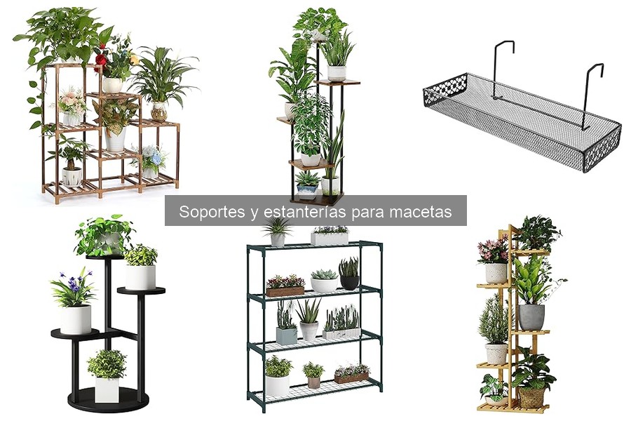 Cómo Elegir el Soporte Perfecto para Macetas según tu Planta