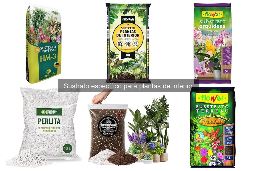 Cómo elegir el sustrato adecuado para plantas de interior