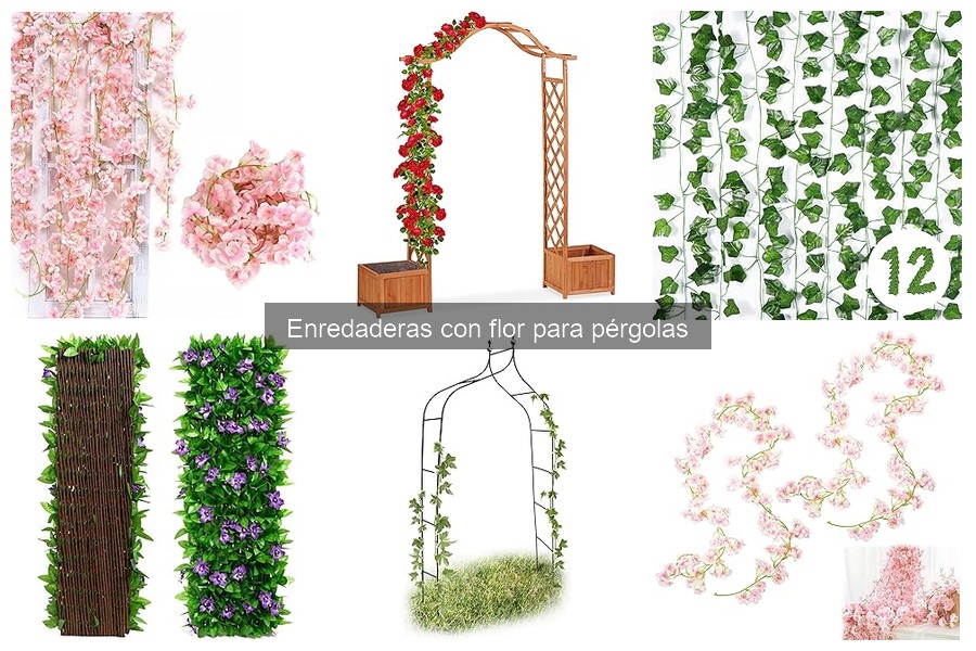 Cómo elegir enredaderas con flor para pérgolas