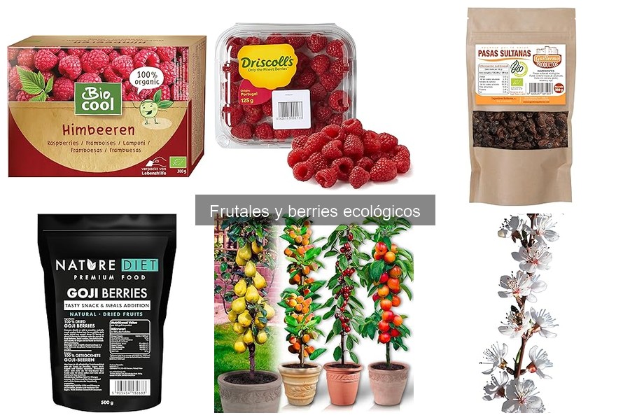 Cómo elegir frutales ecológicos para tu jardín