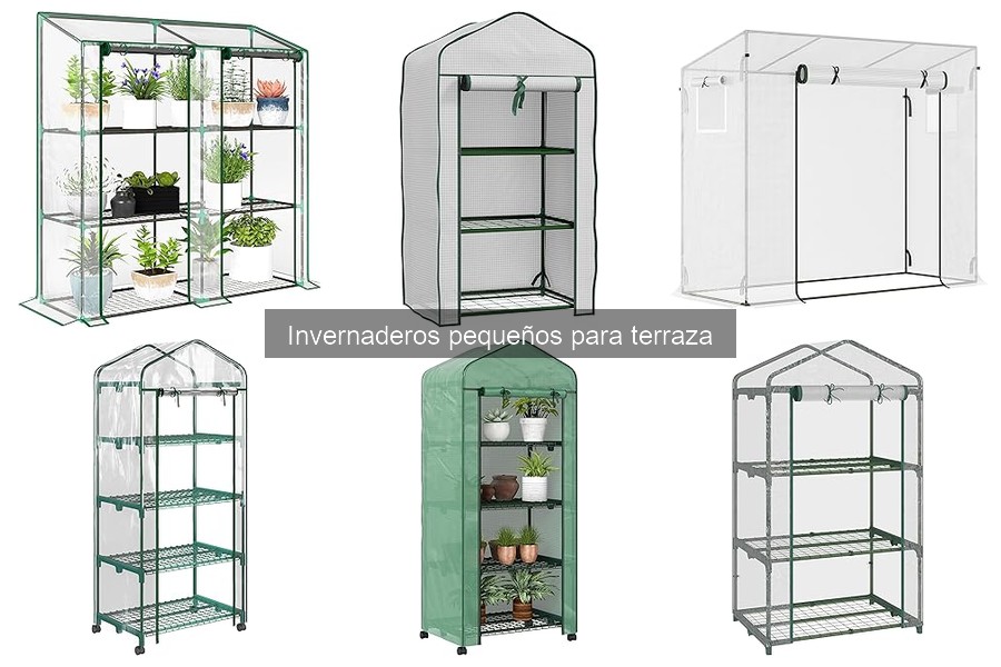 Cómo elegir invernaderos pequeños para tu terraza