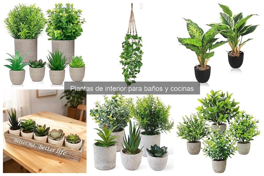 Cómo elegir la maceta adecuada para plantas de baño