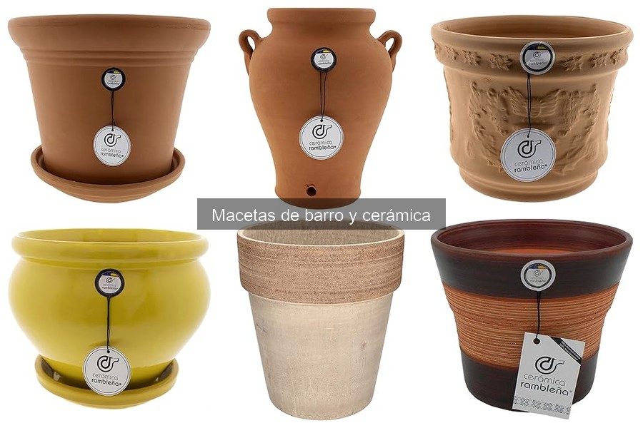 Cómo Elegir la Maceta de Barro Ideal para tus Plantas