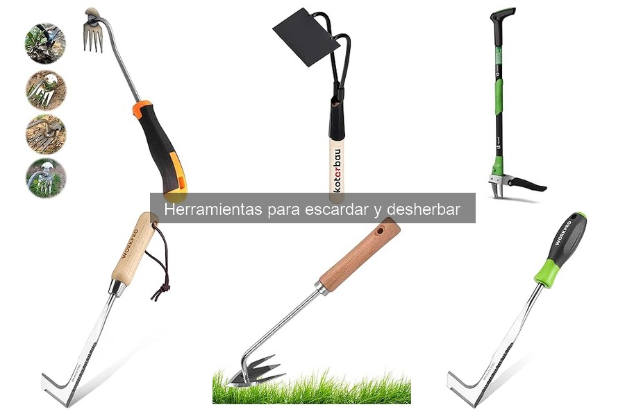 Cómo elegir la mejor herramienta para escardar y desherbar