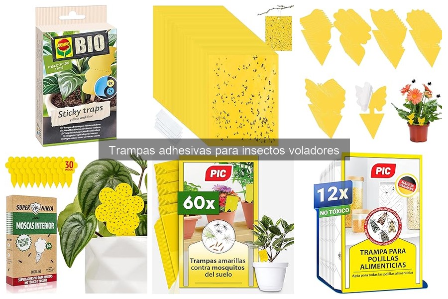 Cómo elegir la trampa adhesiva adecuada para insectos voladores