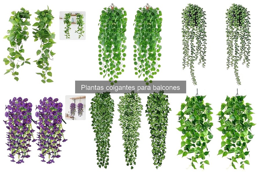 Cómo Elegir las Mejores Plantas Colgantes para Balcones