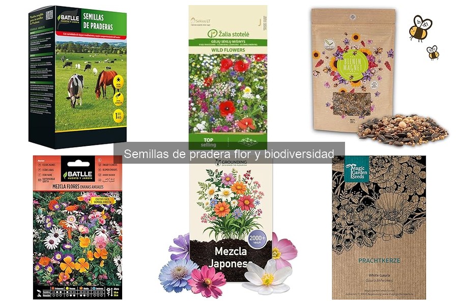 Cómo elegir semillas de pradera floral según el clima