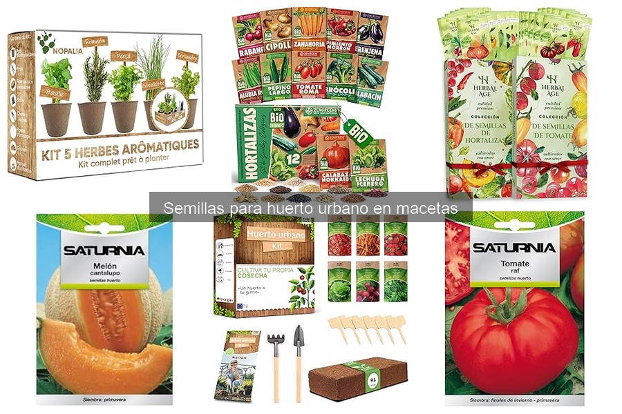 Cómo elegir semillas para huerto urbano en macetas