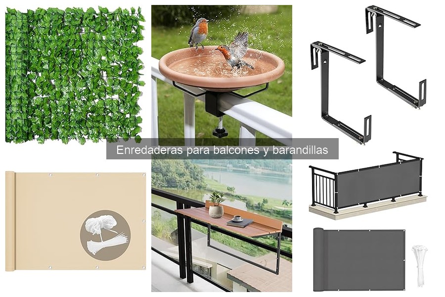 Cómo entrenar enredaderas en barandillas - Guía práctica