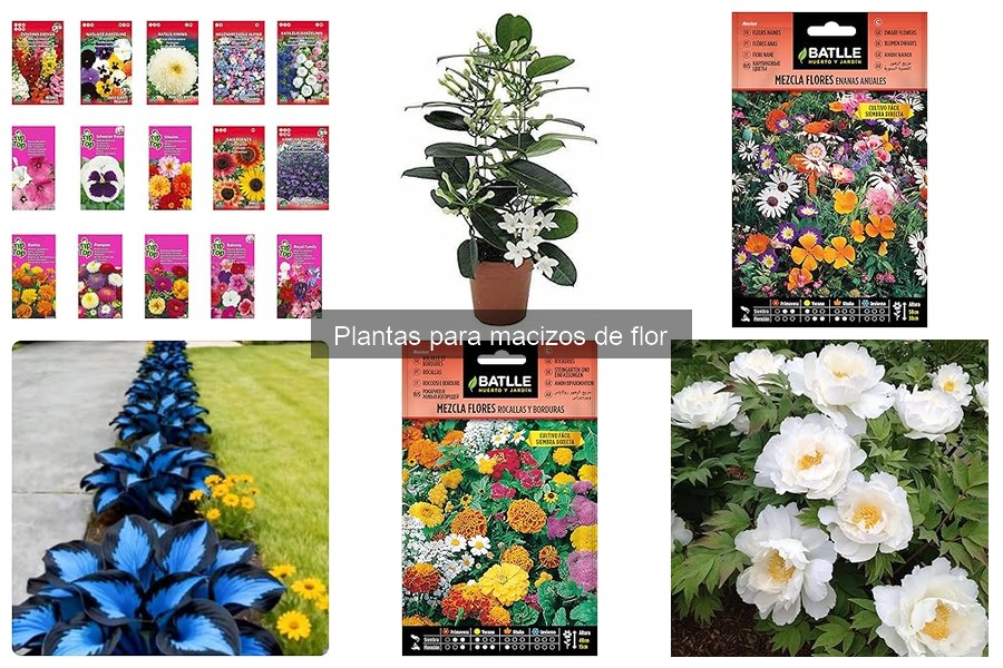 Cómo evitar plagas en plantas de macizos de flores