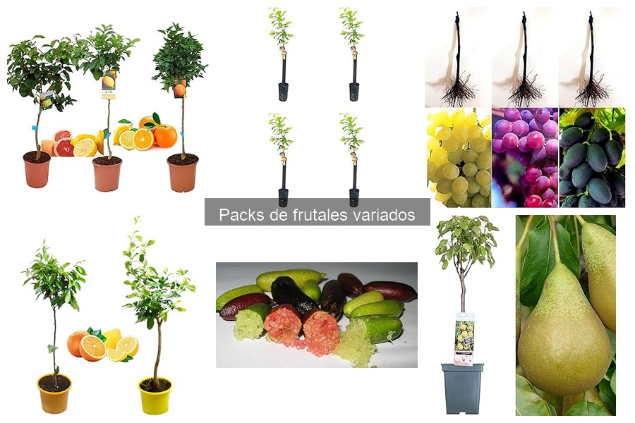 Cómo fertilizar correctamente tus frutales variados