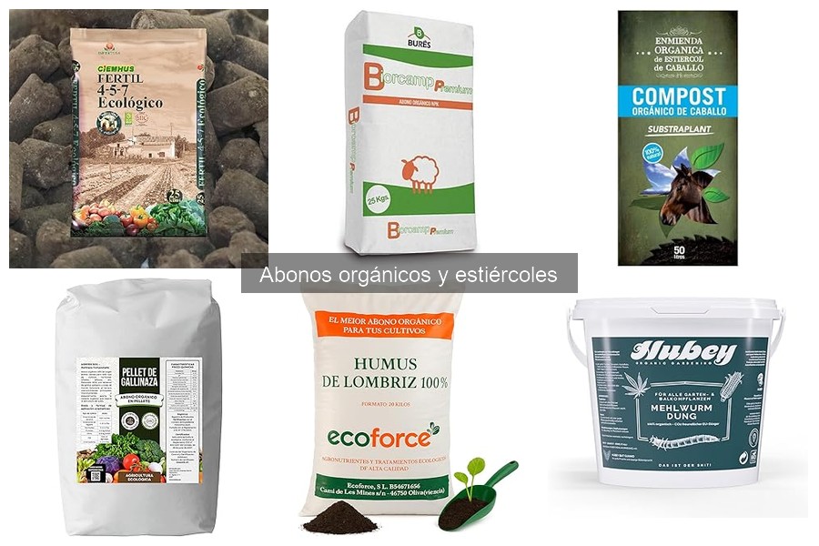 Cómo hacer abono orgánico casero de forma sencilla