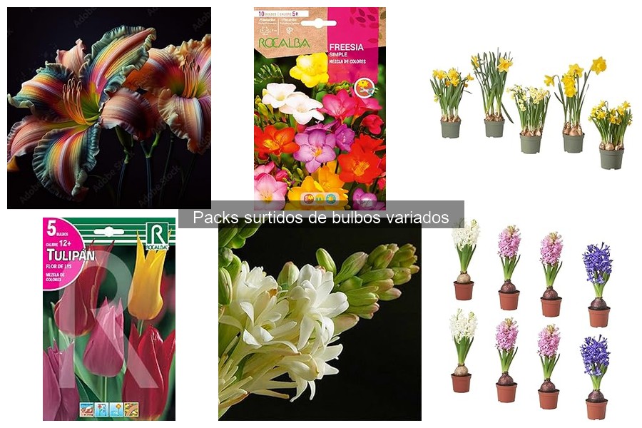 Cómo hacer agujeros perfectos para plantar bulbos