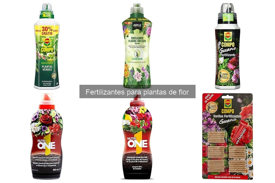 Cómo Hacer Fertilizante Casero para Plantas de Flor