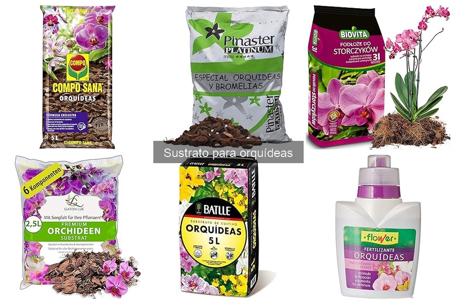 Cómo Hacer Sustrato Casero para Orquídeas - Guía DIY