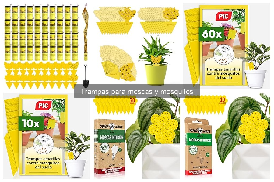 Cómo Hacer Trampas Caseras para Moscas y Mosquitos