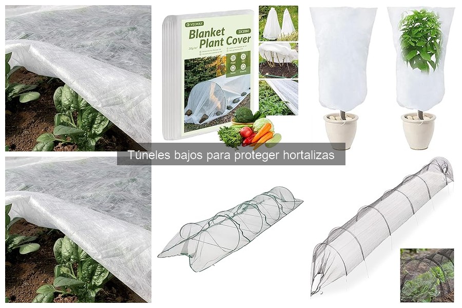 Cómo hacer túneles bajos caseros para hortalizas