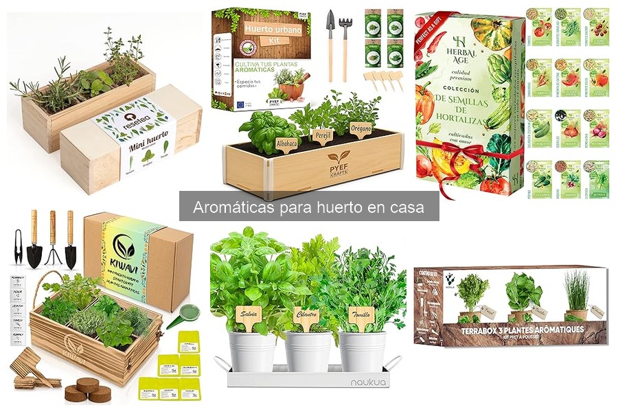 Cómo hacer un jardín de hierbas aromáticas en casa