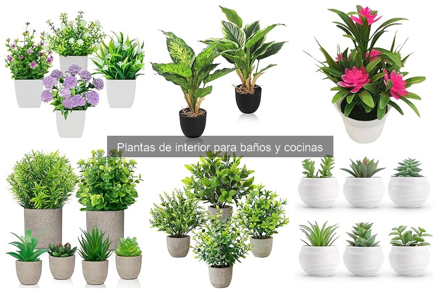 Cómo hacer un topiario con plantas de interior en la cocina