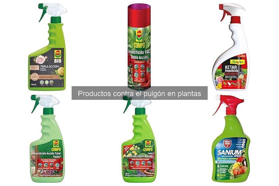 Cómo identificar infestaciones de pulgones en plantas