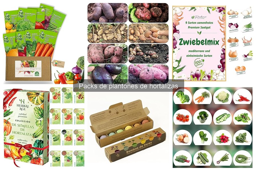 Cómo identificar un pack de plantones en buen estado